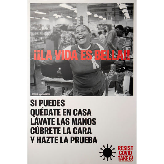 Carrie Mae Weems "La Vida Es Bella" original poster (large)