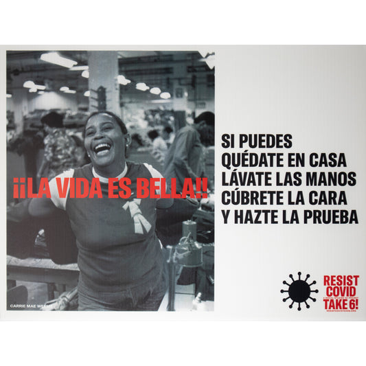 Carrie Mae Weems "La Vida Es Bella" print on corrugated plastic