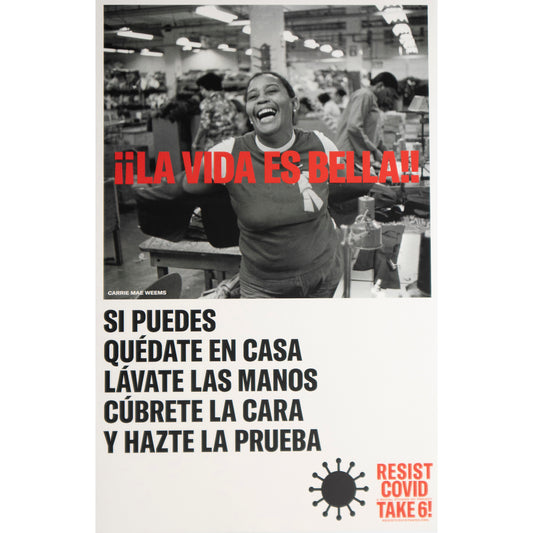 Carrie Mae Weems "La Vida Es Bella" original poster (small)